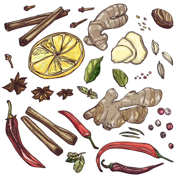 Set Spices Ginger Lemon Pepper Chilli — Wektor stockowy