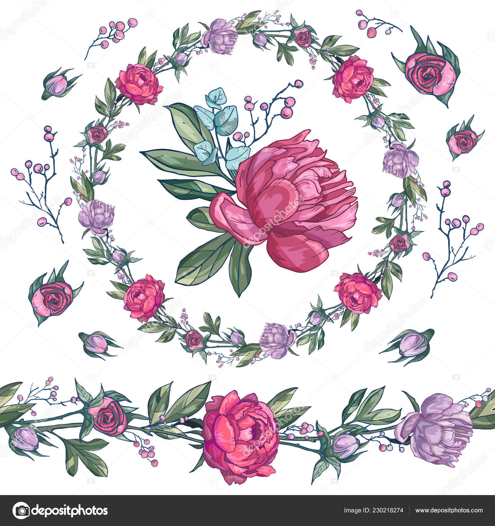 Peony Drawing Flowers Hand Drawn Peony Isolated Botanical