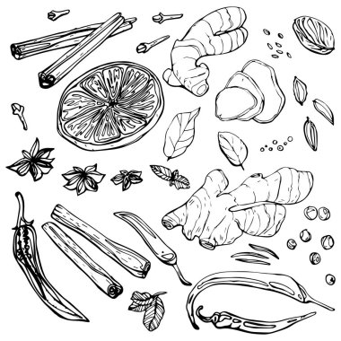 kümesi-baharat-Zencefil-limon 