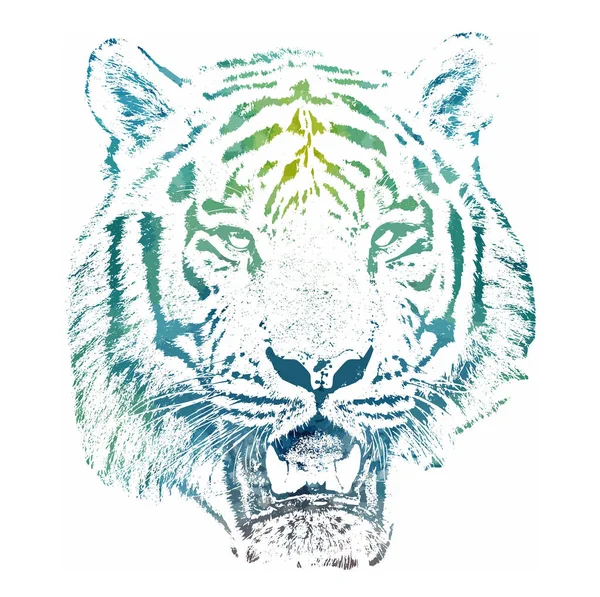 Tigre Contorno Vetorial Focinho Predador — Vetor de Stock