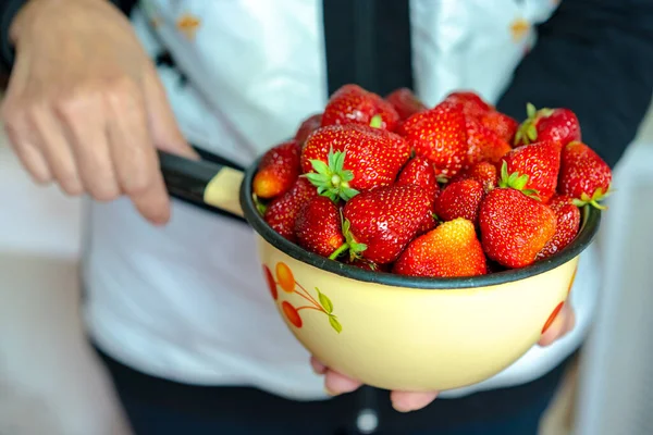 Ripe Fresh Strawberries Only Plucked Garden — Stock Photo, Image