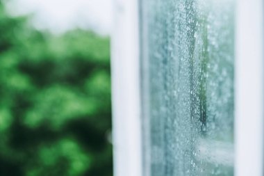 Yağmurdan sonra ıslak pencere camı