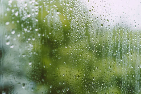 Vitre Avec Gouttes Après Pluie — Photo