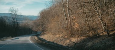 Serpentine Yolu Söğüt ağacı yetişiyor