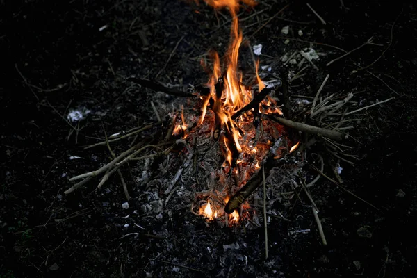 Burning Bonfire Tree Branches — Stock Photo, Image