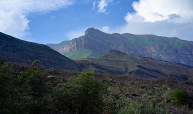 Yazın dağlarda bitki örtüsü
