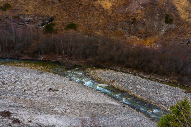 Temiz bir dağ nehrinin hızlı akışı