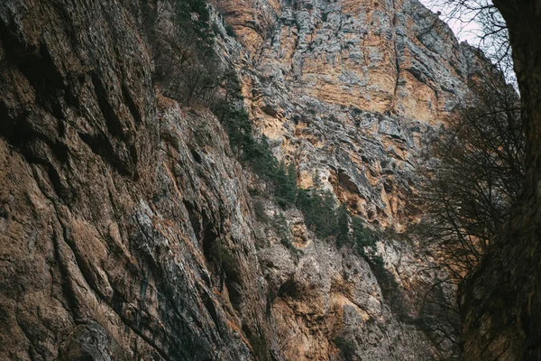 Relieve Montaña Con Árboles Creciendo Ella — Foto de Stock