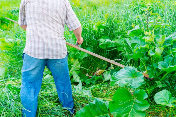 Hombre Corta Hierba Con Una Guadaña Mano — Foto de Stock