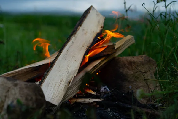 Campfire Made Sticks Nature — Stock Photo, Image