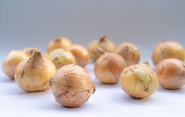 Beyaz arkaplanda soğan meyvesi