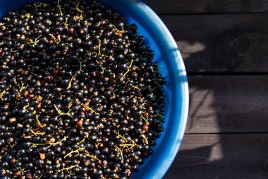 Ahşap bir arka planda olgun üzümler