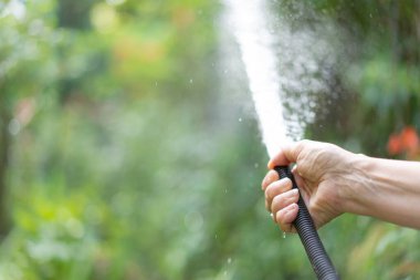 Watering the garden with a hose clipart