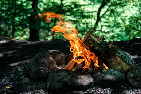 Bonfire Колод Природі — стокове фото