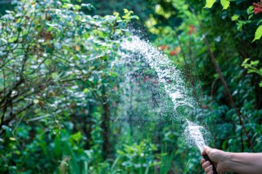 Bahçeyi suyla sulamak