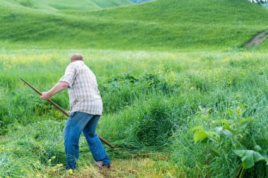 Bir tarlada çim biçen adam