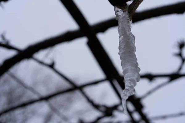 Appendere Ghiaccioli Nella Stagione Invernale — Foto Stock