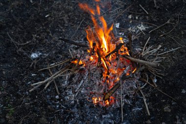 Yanan ağaç dallarıyla şenlik ateşi