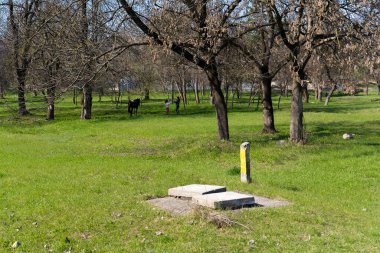 Yerdeki kapak kapalıydı.