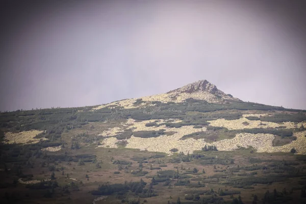 Fantastisk Tjeckisk Natur Vårt Berg Krkonose Underbar Höglandslandslandskap Med Stor — Stockfoto