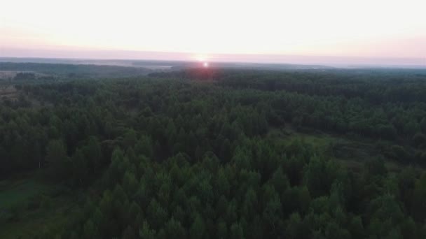 Політ Ліс Коптер Схід Сонця Ліцензійні Стокові Відео