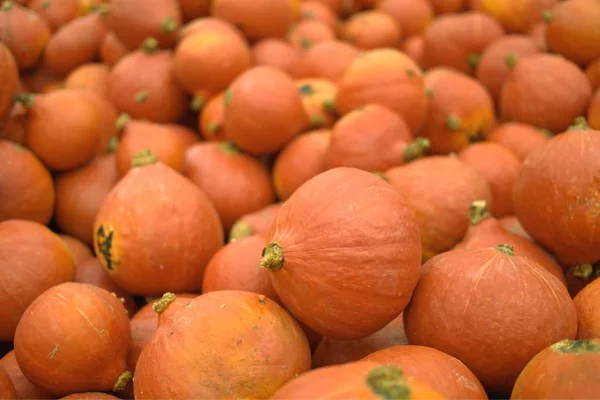 Calabazas Naranja Recientemente Cosechadas Para Venta — Foto de Stock