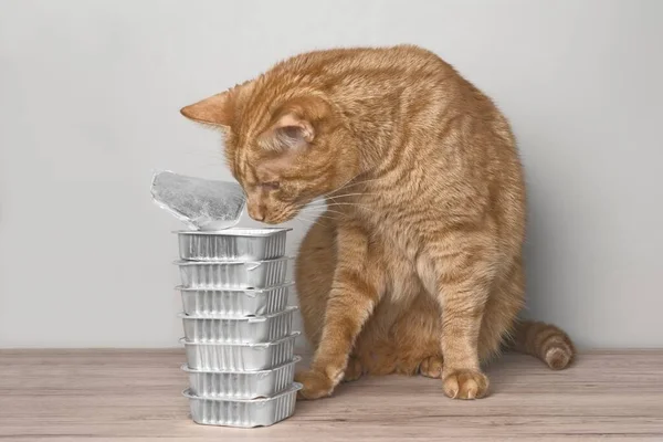 Lindo Gato Jengibre Comiendo Tazón Comida Mesa — Foto de Stock