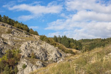 Yaz sonunda Vadisi'nin renkli manzara