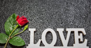 Siyah arka plan üzerinde kırmızı gül ve su damlacıkları ile Kelime aşk