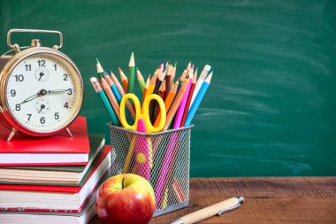 Eğitim veya okul geçmişine geri dön