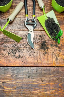 Bahçecilik aletleri, çiçekler, çömlekler ve kırsal ahşap masa üzerindeki toprak. Bahçe konseptine bahar geldi. Kopyalama alanı olan üst görünüm, düz konum.