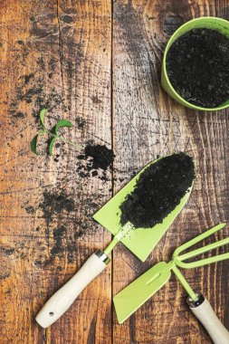 Bahçecilik aletleri, çiçekler, çömlekler ve kırsal ahşap masa üzerindeki toprak. Bahçe konseptine bahar geldi. Kopyalama alanı olan üst görünüm, düz konum.