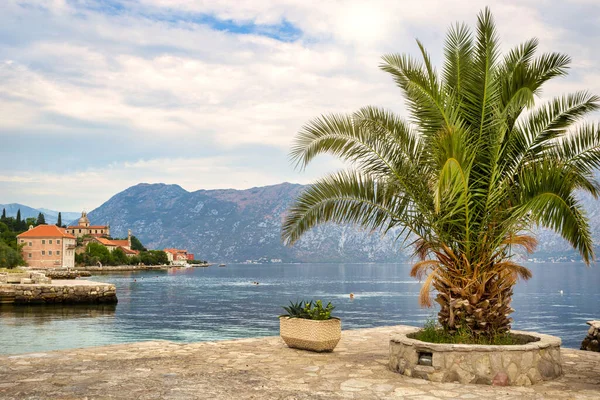 Hermosa Bahía Kotor Montenegro Europa Concepto Viaje Antecedentes — Foto de Stock