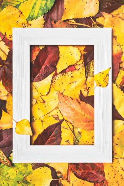 Осенняя Композиция Цветных Листьев Пустой Фоторамки Осень Осенняя Концепция Плоская — стоковое фото