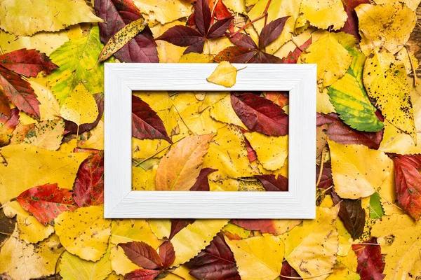 Herfst Compositie Gemaakt Van Kleurrijke Bladeren Blanco Fotolijstje Herfst Herfst — Stockfoto