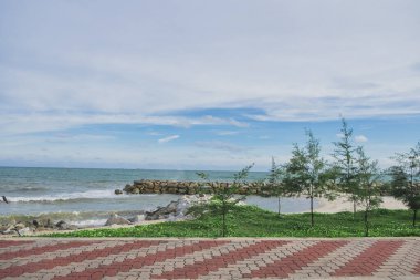 Kıyıdaki sarmaşık, öndeki patika ve arkadaki mavi gökyüzü bulutu..