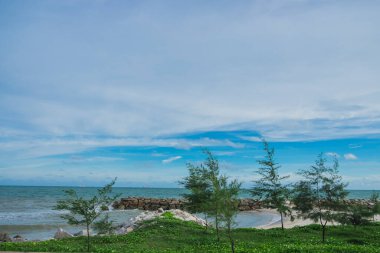 Kıyıdaki sarmaşık, arkadaki mavi gökyüzü bulutu.