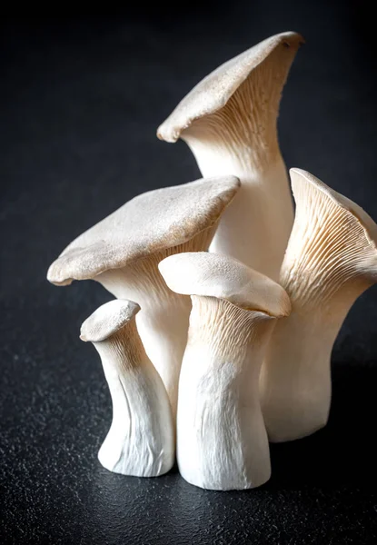 King Oyster Mushrooms Closeup — Stock Photo, Image