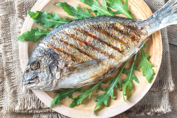 Grilled Gilt Head Bream Fresh Arugula Plate — Stock Photo, Image