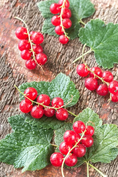 Grosella Roja Tablero Madera — Foto de Stock