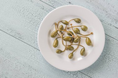 Kapari plaka üzerinde