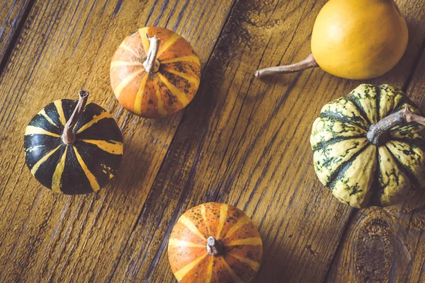 Variété Citrouilles Ornementales Sur Fond Bois — Photo