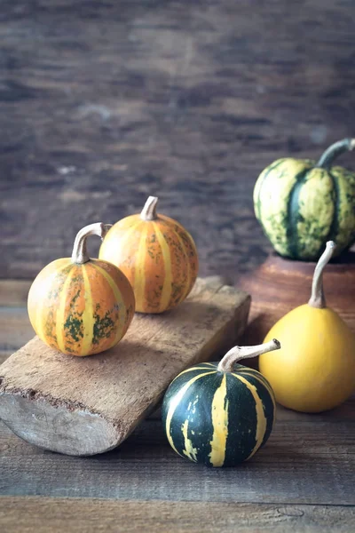 Variedad Calabazas Ornamentales Sobre Fondo Madera —  Fotos de Stock