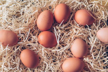 Saman içinde çiğ tavuk yumurta: Ana sayfa görünümü