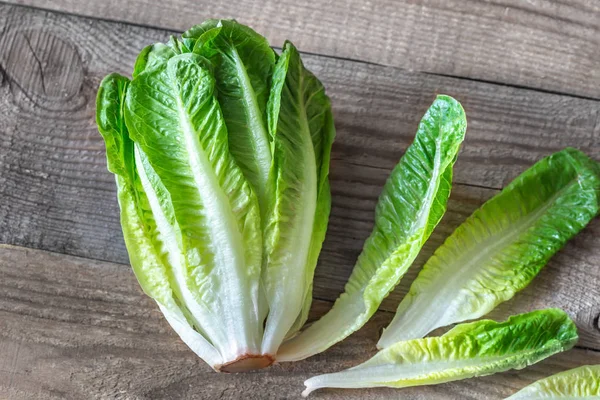 Lechuga Romaine — Foto de Stock