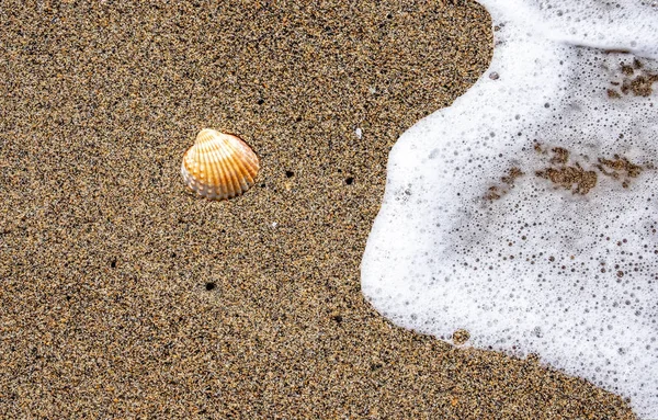 Onda do mar na praia arenosa — Fotografia de Stock