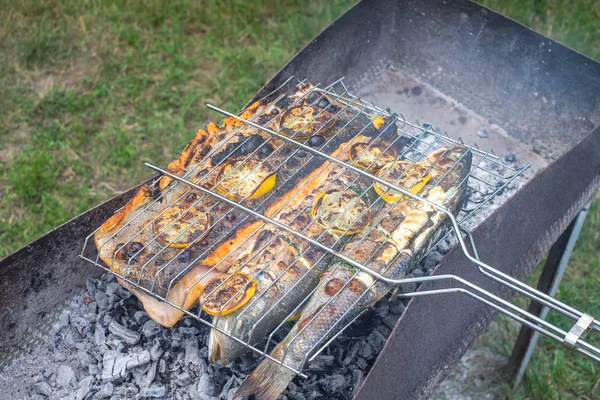 Grilování venku s grilovanými rybami — Stock fotografie