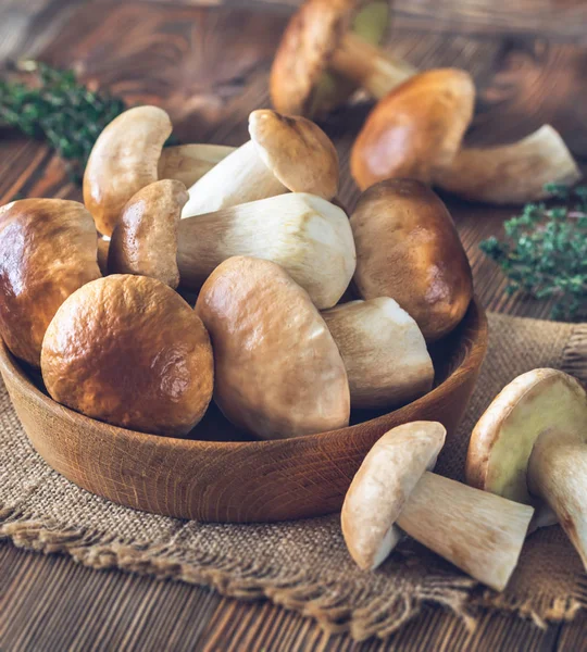 Tigela de cogumelos porcini — Fotografia de Stock