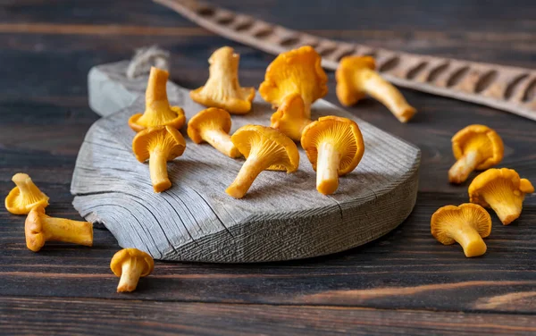 Fresh Chanterelle Mushrooms Wooden Board — Stock Photo, Image