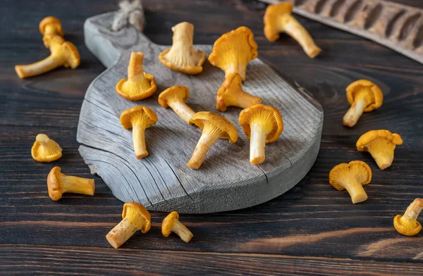 Fresh Chanterelle Mushrooms Wooden Board — Stock Photo, Image